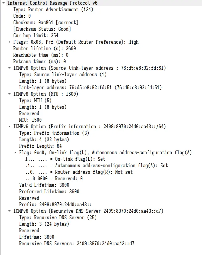 No.19 Router Advertisement 报文